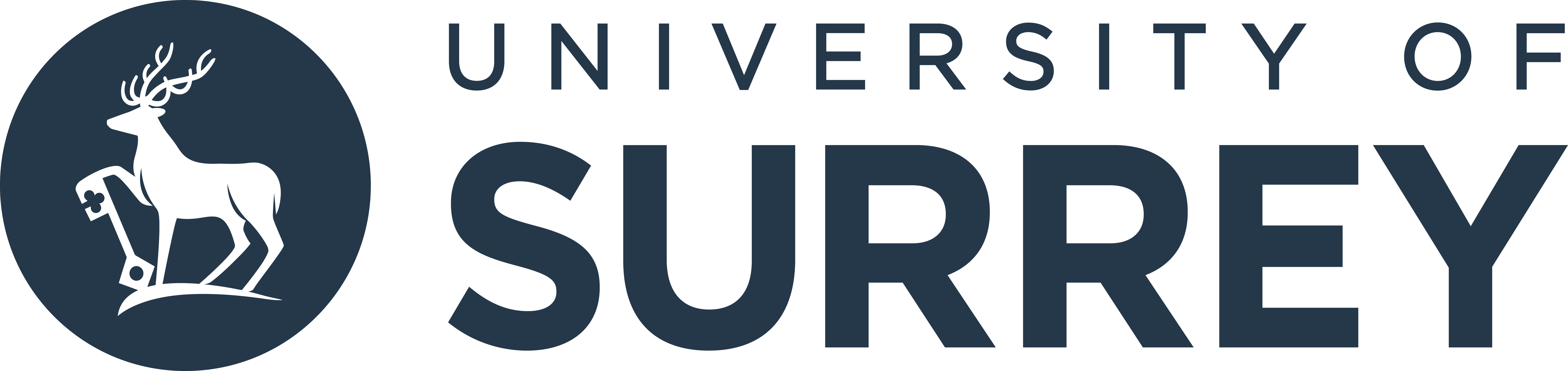 Login Logo